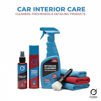Car Interior Care
