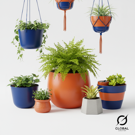 Planters & Containers